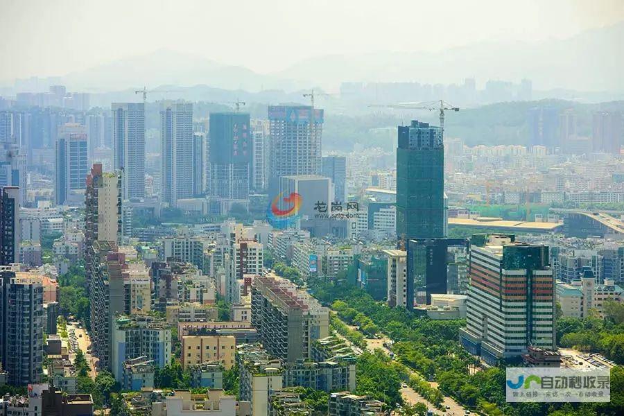 深圳龙岗网站建设公司：助力您在互联网时代脱颖而出