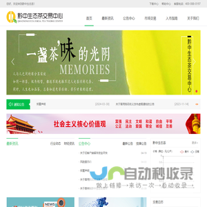 黔中生态茶